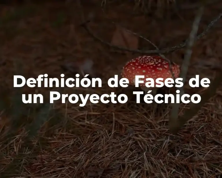 Definición de Fases de un Proyecto Técnico