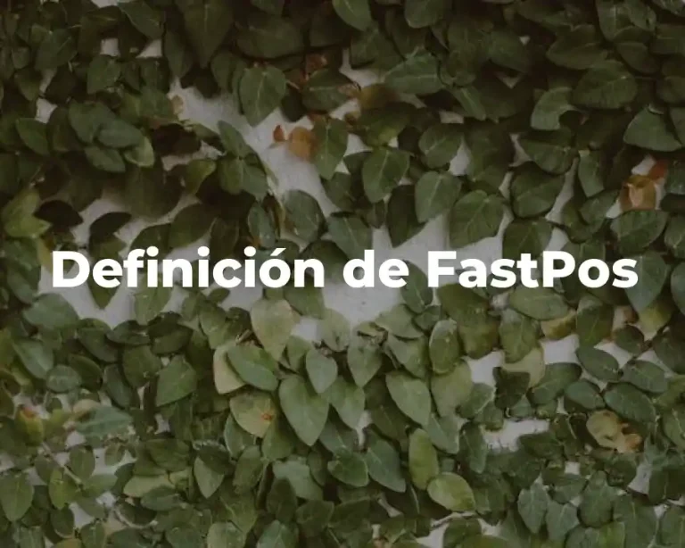 Definición de FastPos