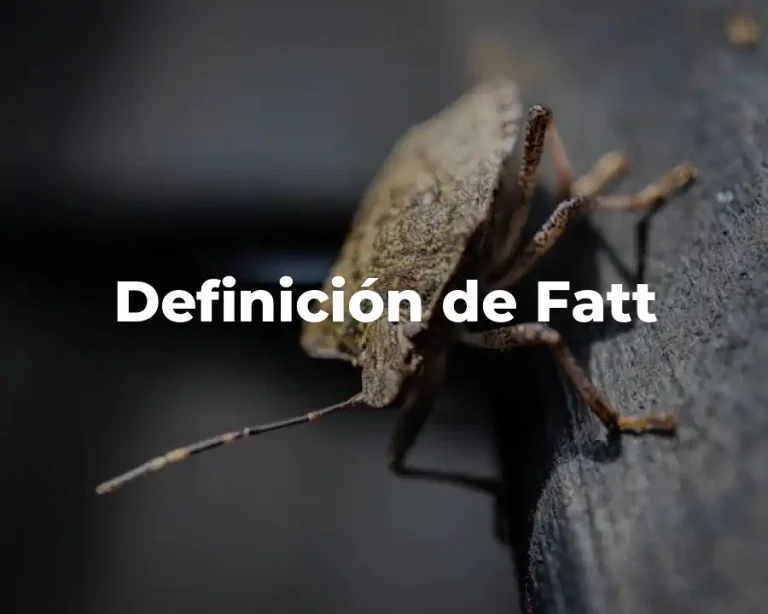 Definición de Fatt