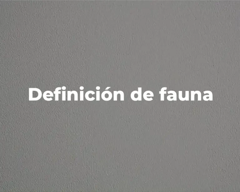Definición de fauna