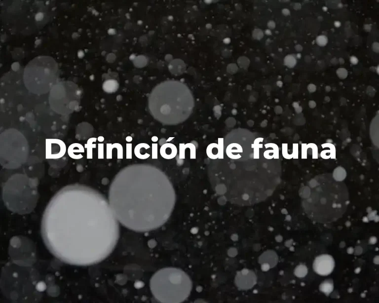 Definición de fauna