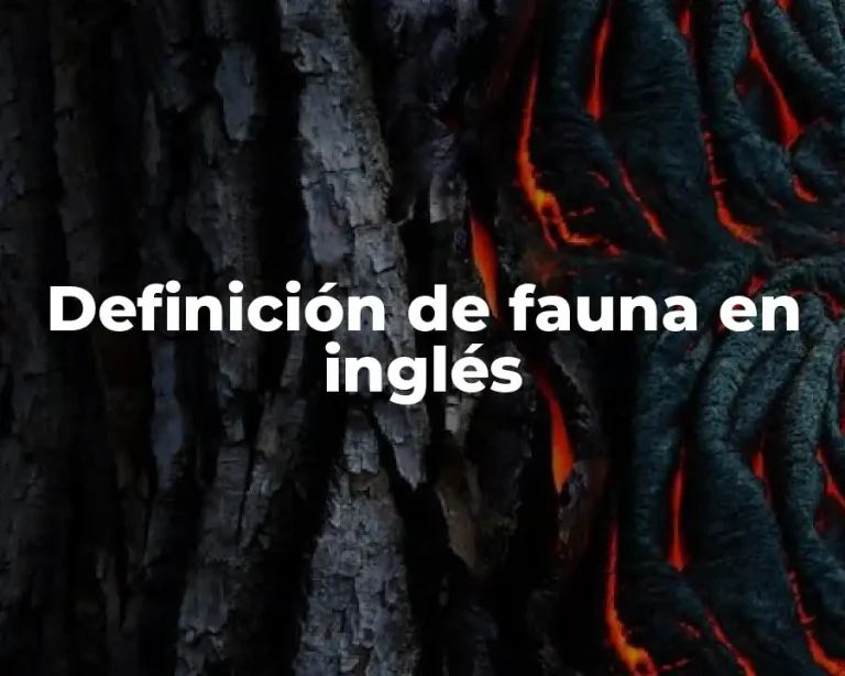 Definición de fauna en inglés