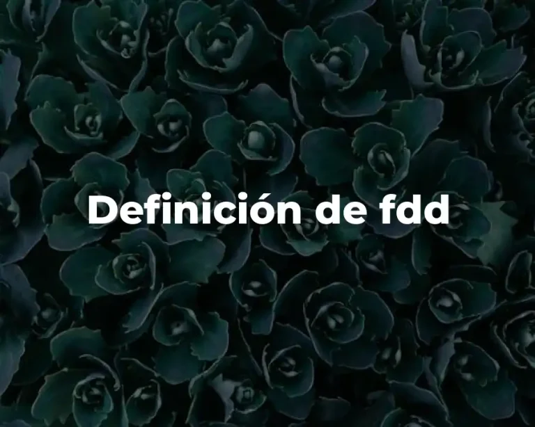 Definición de fdd