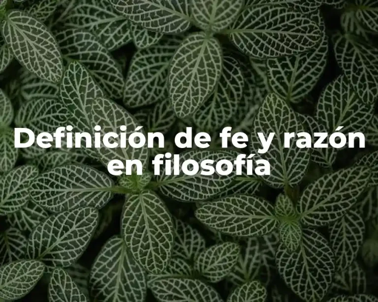 Definición de fe y razón en filosofía