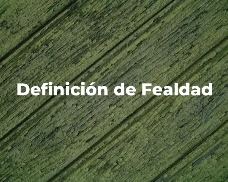 Definición de Fealdad