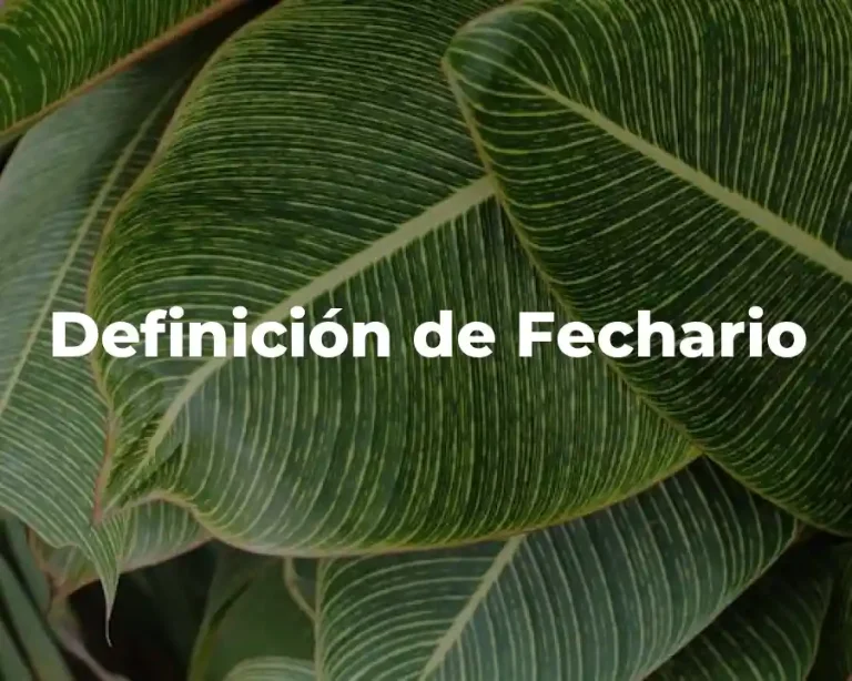 Definición de Fechario