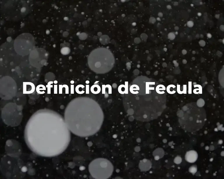 Definición de Fecula