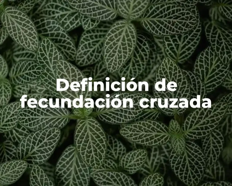 Definición de fecundación cruzada