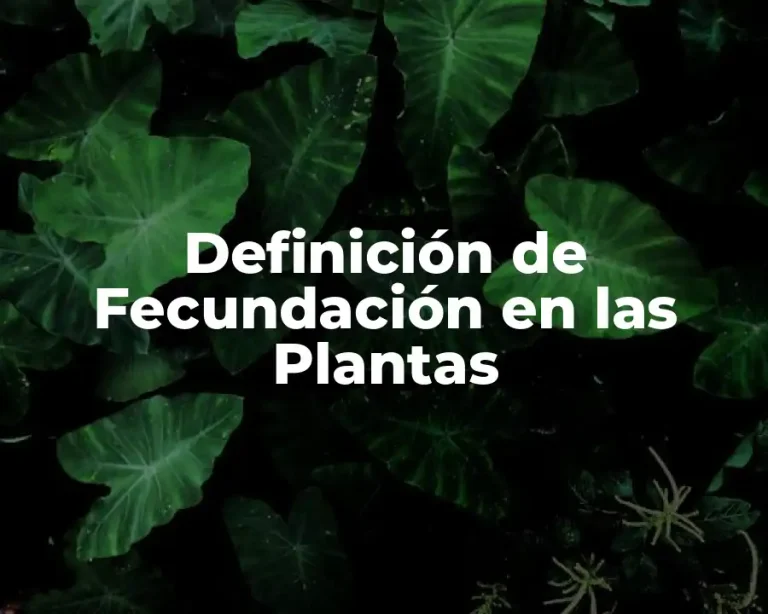 Definición de Fecundación en las Plantas