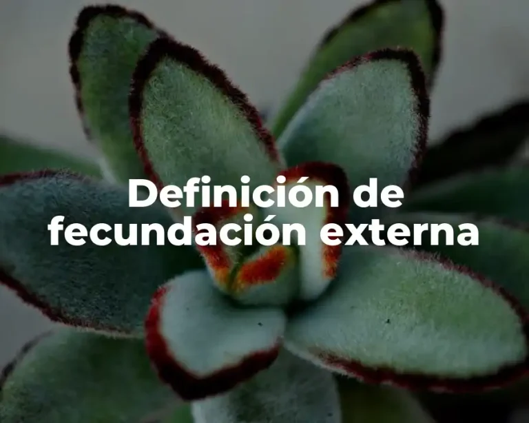 Definición de fecundación externa