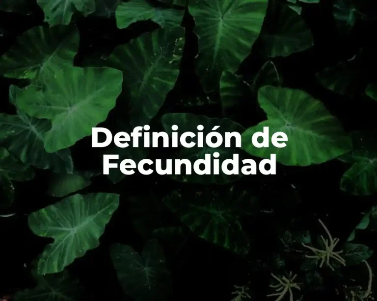 Definición de Fecundidad