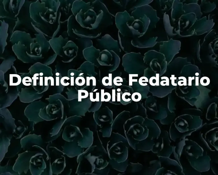 Definición de Fedatario Público