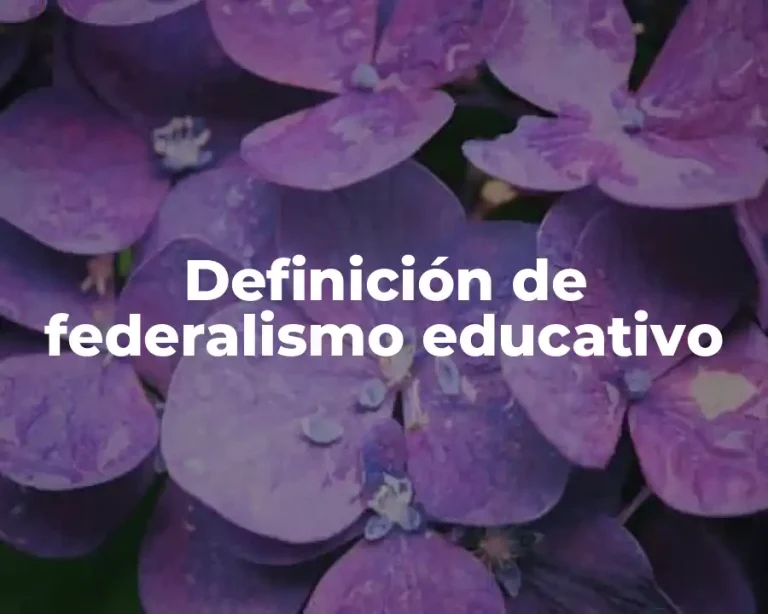 Definición de federalismo educativo