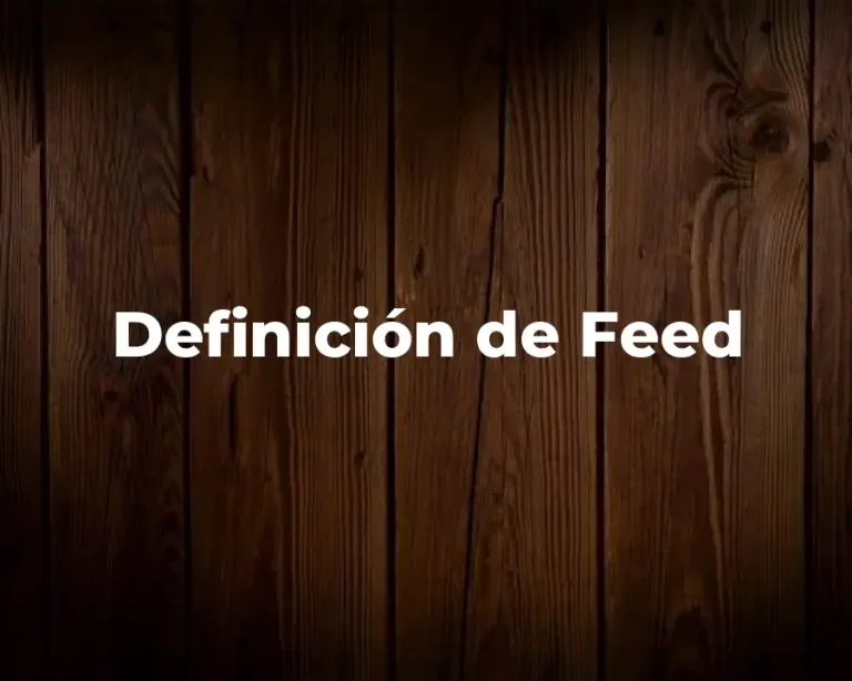 Definición de Feed