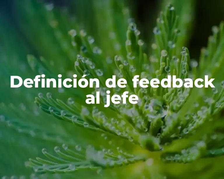 Definición de feedback al jefe