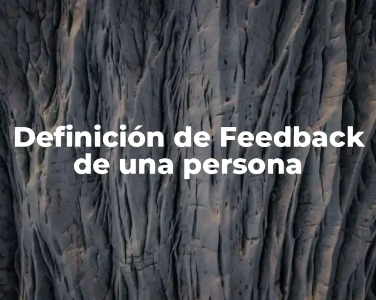 Definición de Feedback de una persona