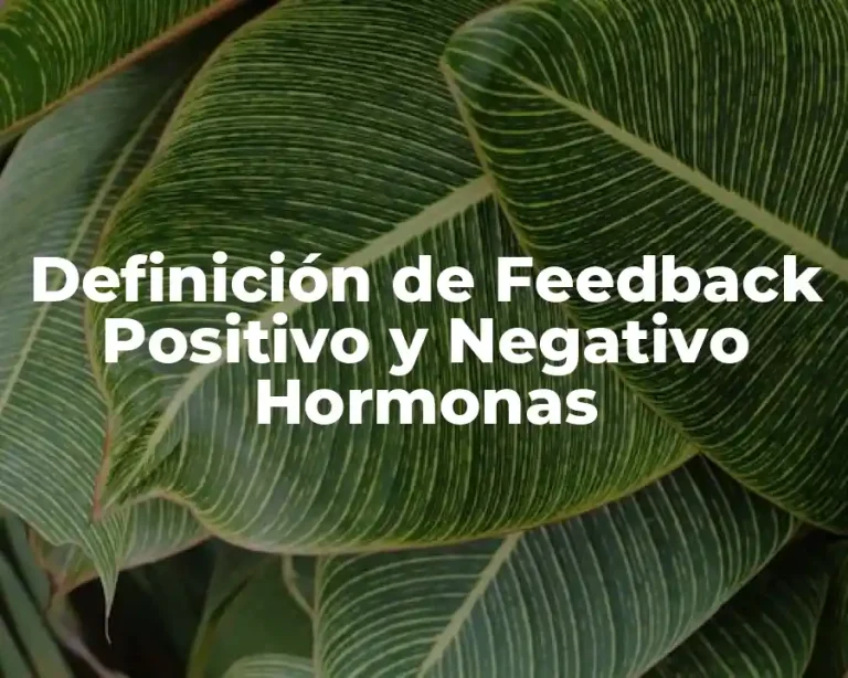 Definición de Feedback Positivo y Negativo Hormonas