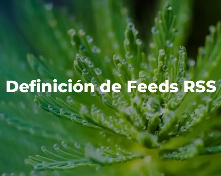 Definición de Feeds RSS