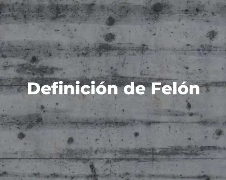 Definición de Felón