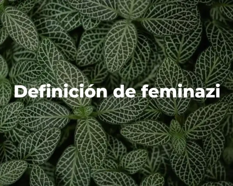 Definición de feminazi