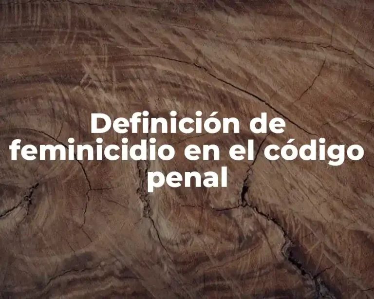 Definición de feminicidio en el código penal