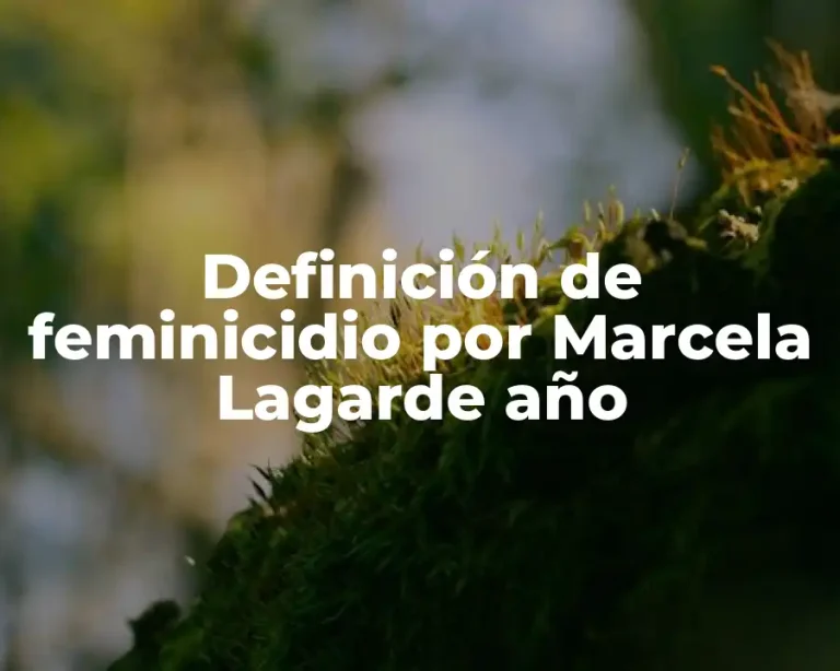 Definición de feminicidio por Marcela Lagarde año