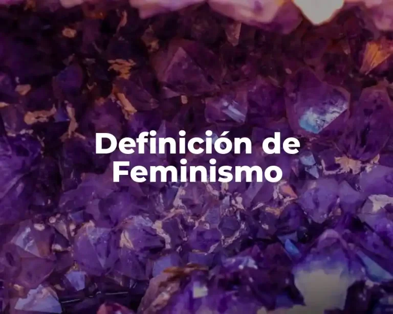 Definición de Feminismo