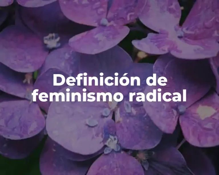 Definición de feminismo radical