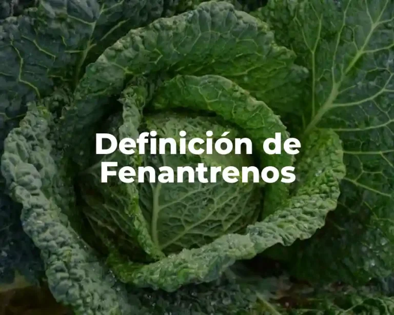 Definición de Fenantrenos