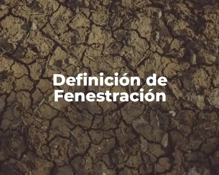 Definición de Fenestración