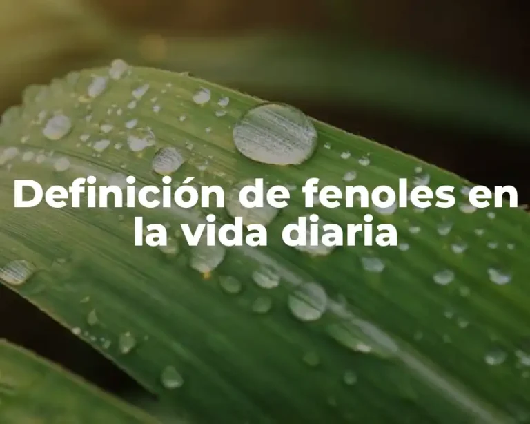 Definición de fenoles en la vida diaria