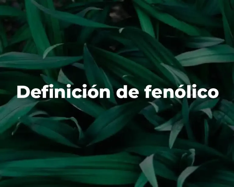 Definición de fenólico