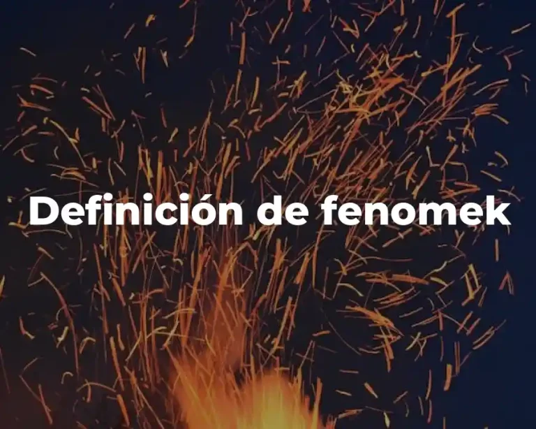 Definición de fenomek