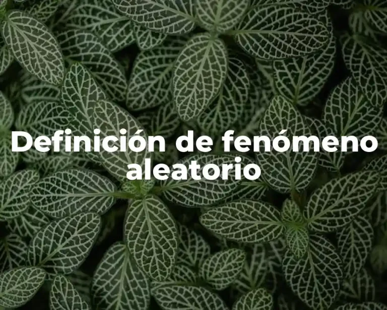 Definición de fenómeno aleatorio