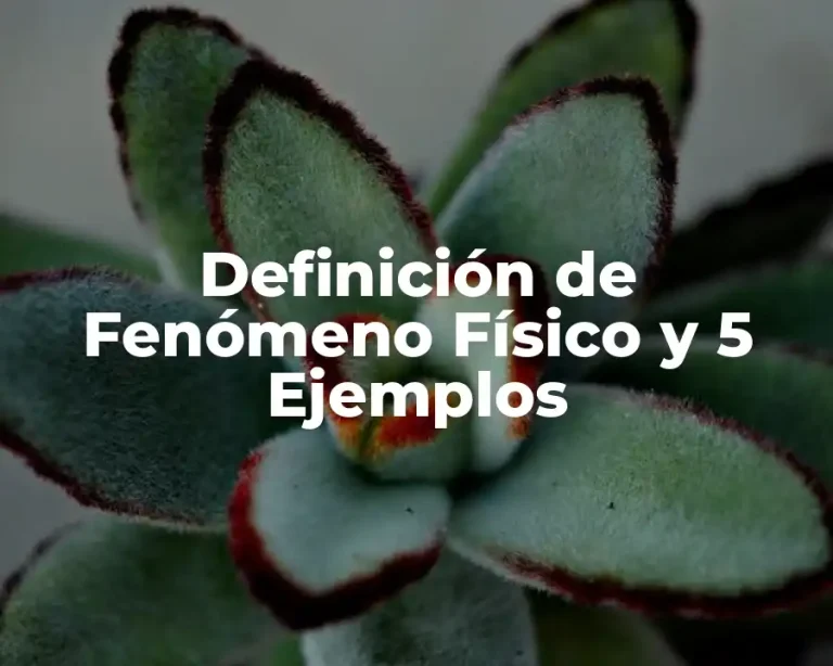 Definición de Fenómeno Físico y 5 Ejemplos