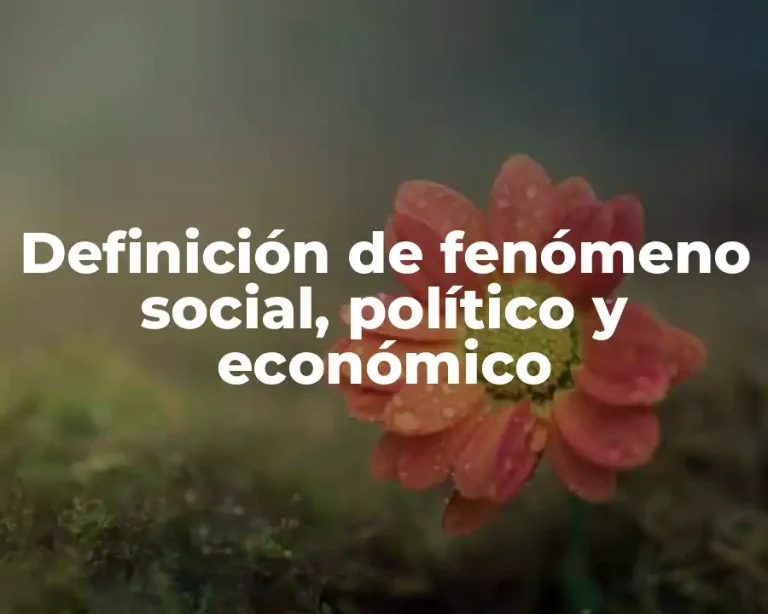 Definición de fenómeno social, político y económico