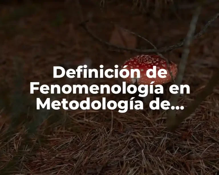 Definición de Fenomenología en Metodología de Investigación