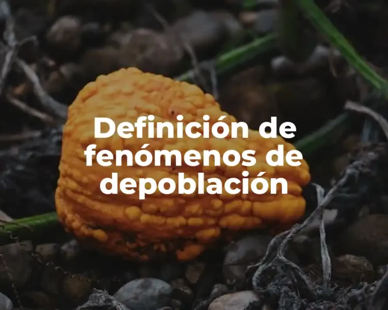 Definición de fenómenos de depoblación