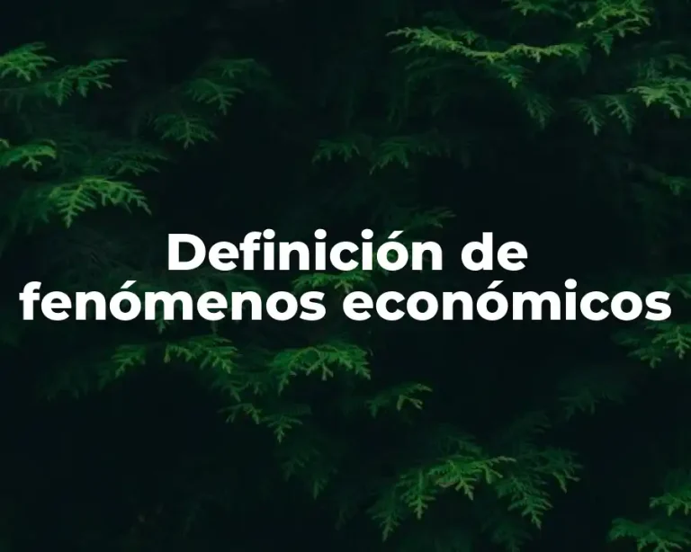 Definición de fenómenos económicos