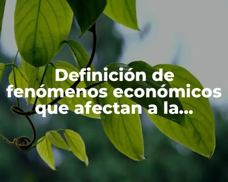 Definición de fenómenos económicos que afectan a la sociedad
