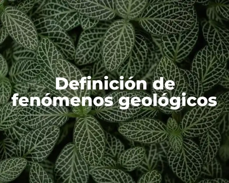 Definición de fenómenos geológicos