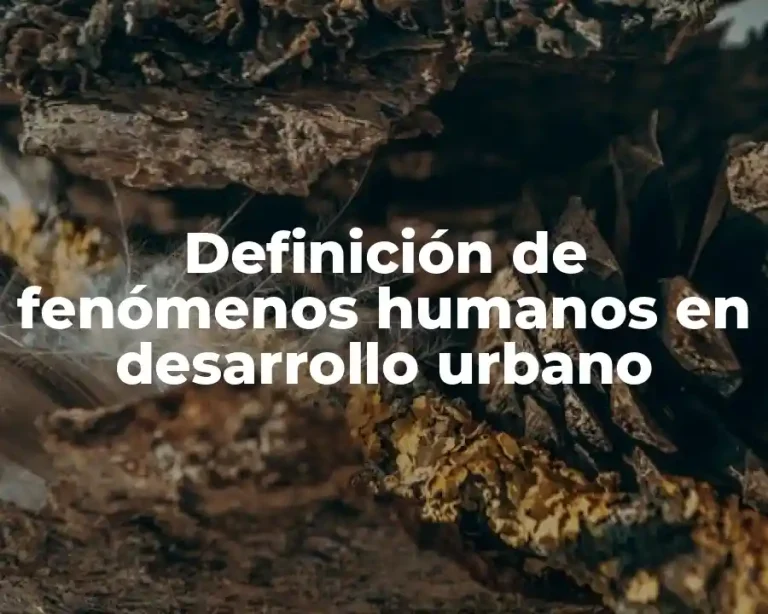 Definición de fenómenos humanos en desarrollo urbano
