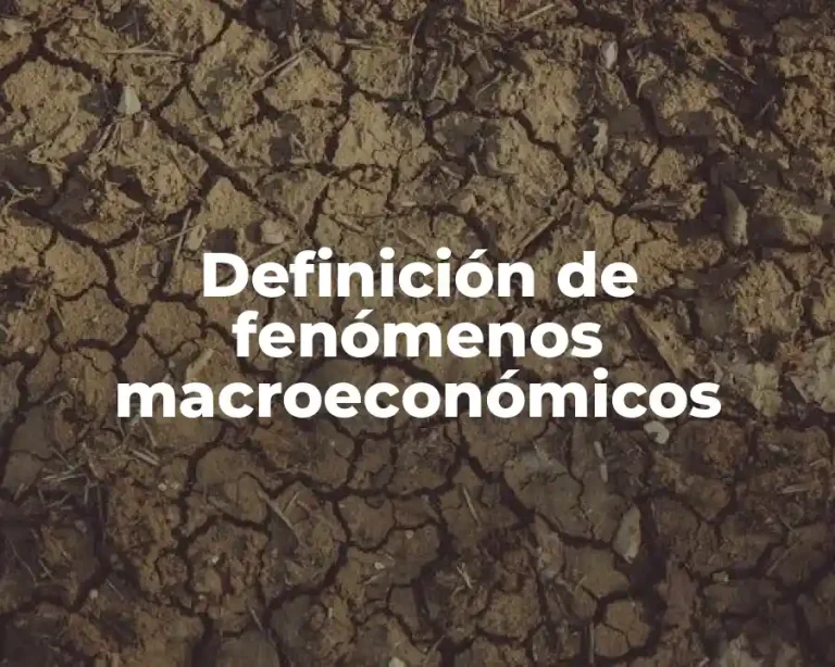 Definición de fenómenos macroeconómicos