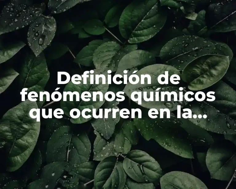 Definición de fenómenos químicos que ocurren en la naturaleza