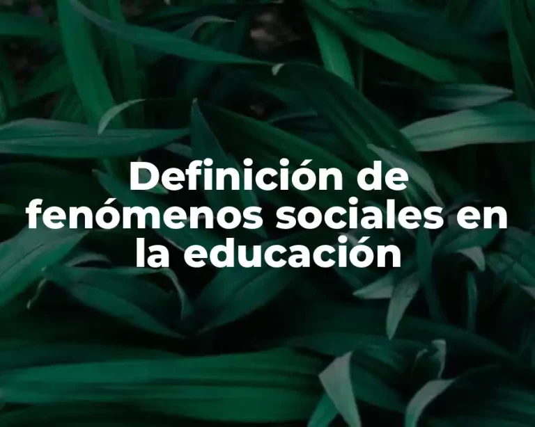 Definición de fenómenos sociales en la educación