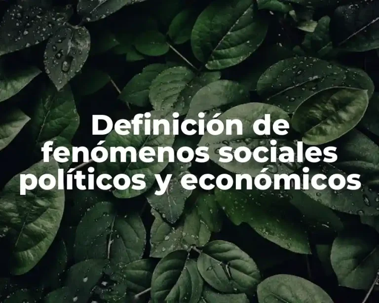 Definición de fenómenos sociales políticos y económicos