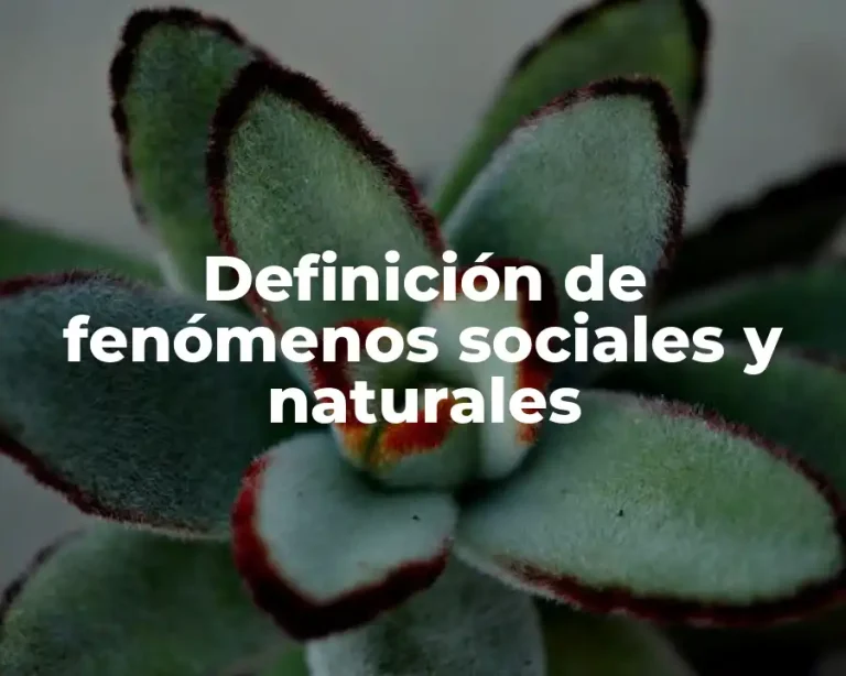 Definición de fenómenos sociales y naturales
