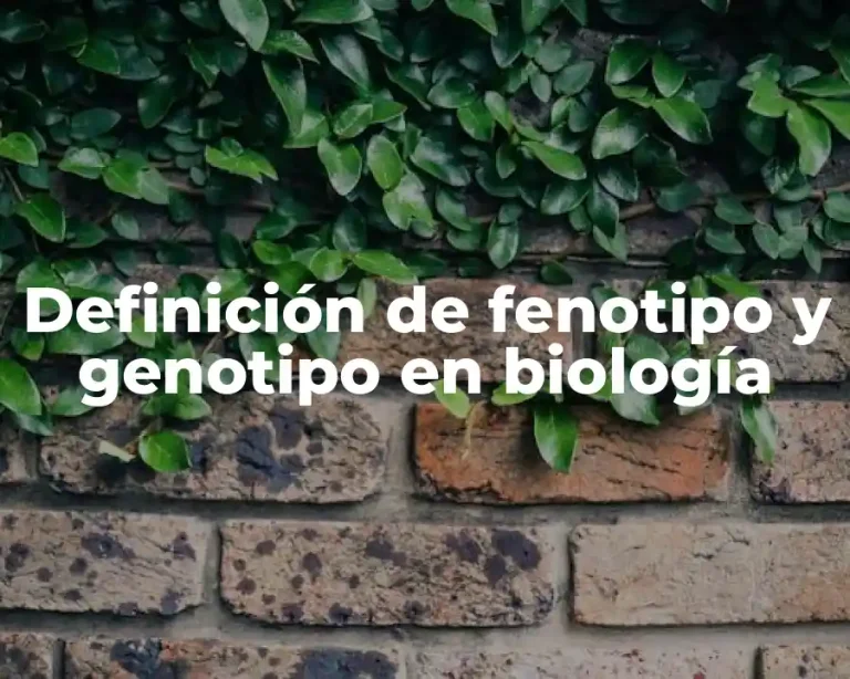Definición de fenotipo y genotipo en biología