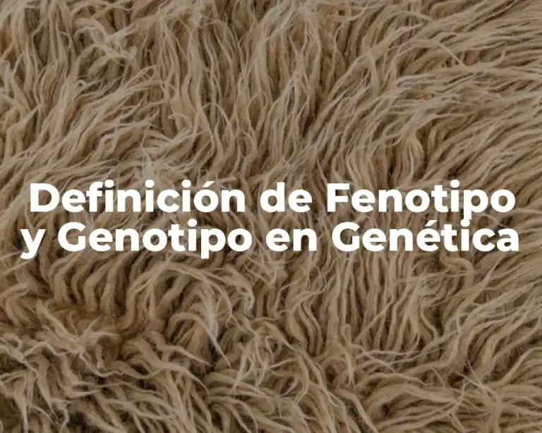 Definición de Fenotipo y Genotipo en Genética