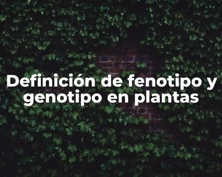 Definición de fenotipo y genotipo en plantas
